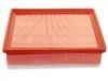 Luftfilter Air Filter:6000619767