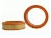 Luftfilter Air Filter:4180565