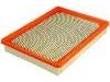 Luftfilter Air Filter:25096932