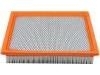 Luftfilter Air Filter:4R3Z-9601-AA