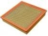 Luftfilter Air Filter:25099136