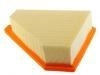 Luftfilter Air Filter:9T1Z-9601-A