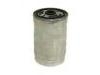 Kraftstofffilter Fuel Filter:9949179