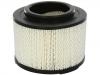 Luftfilter Air Filter:17801-0C010