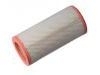 Luftfilter Air Filter:BG1X-9601-AA