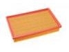 Luftfilter Air Filter:1109013-U01