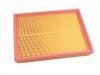 Luftfilter Air Filter:10137097