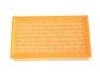 Luftfilter Air Filter:1109024120