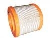 Luftfilter Air Filter:1109060PK