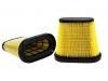 Luftfilter Air Filter:23107355