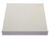 Filter, Innenraumluft Cabin Air Filter:500042992