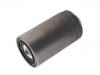 Kraftstofffilter Fuel Filter:500039731