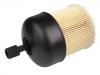 Kraftstofffilter Fuel Filter:16403-00QAC