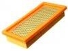 Luftfilter Air Filter:25043334