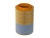 Luftfilter Air Filter:21243188