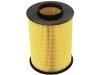 Luftfilter Air Filter:30792881