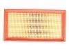 Luftfilter Air Filter:1109113-C03