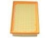 Luftfilter Air Filter:1109103001ZBH