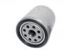 Kraftstofffilter Fuel Filter:21925732