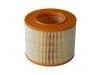 Luftfilter Air Filter:5461959