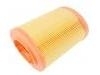 Luftfilter Air Filter:55183562