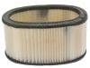 Luftfilter Air Filter:25043556