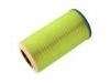 Luftfilter Air Filter:84187405