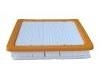 Luftfilter Air Filter:22971580