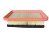 Luftfilter Air Filter:1109013-G03