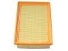 Luftfilter Air Filter:J69-1109111