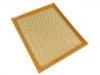 Luftfilter Air Filter:A00039687