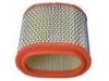 Luftfilter Air Filter:382400303