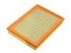 Air Filter:04891176AA