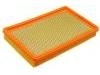 Air Filter:25097453