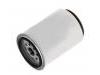 Fuel Filter:3989632