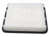 Air Filter:A21-1109111FL