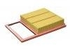 Air Filter:DG9Z-9601-A