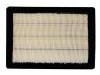 Air Filter:2010005ASV0000