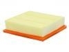 Air Filter:10170100B10022