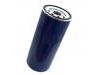 Filtro de combustible Fuel Filter:74 20 541 381