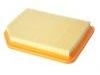 Filtro de aire Air Filter:1109113A01