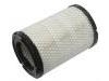 Filtro de aire Air Filter:15239447