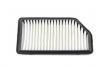 Filtro de aire Air Filter:1109100C0103