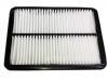 Filtro de aire Air Filter:1109110A-P00-A1