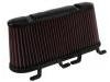 Filtro de aire Air Filter:15776148