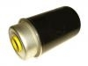 Filtre carburant Fuel Filter:LR 029098