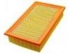 Air Filter:1L2Z 9601 AA