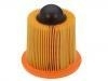 Air Filter:F7CZ-9601-A