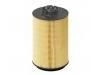 Fuel Filter:21040558