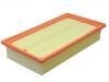 Air Filter:B21-1109111